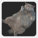 Suche nach rückseite aufkleber Rückstand