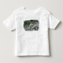 Suche nach farbbild tshirts Walter bibikow