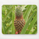 Suche nach tropische frucht mousepads Ananas