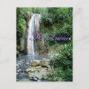 Suche nach lúcia postkarten Bäume