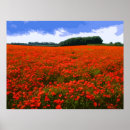 Suche nach vibrierend kunst Farbe