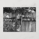 Suche nach birdhouse postkarten Vögel