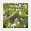Suche nach java magnete Kaffee