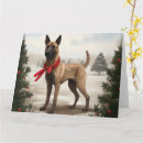 Suche nach belgische malinois karten Weihnachtsgeschenk für hunde