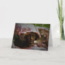 Suche nach horror karten Landschaft