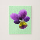 Suche nach veilchen puzzle Blumen