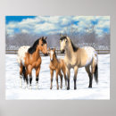 Suche nach appaloosa poster Stute