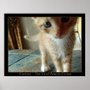 Suche nach neugierig poster Katze