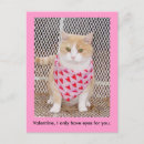 Suche nach mollig karten Miezekatze