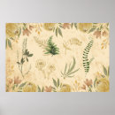 Suche nach botanische poster Antike