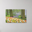 Suche nach holland leinwandbilder Tulpe