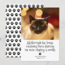 Suche nach wenn gedicht karten Katze