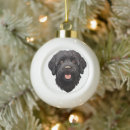 Suche nach labradoodles ornamente Tiere
