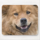 Suche nach tierkopf mousepads Im freien