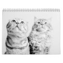 Suche nach humor kalender Modern