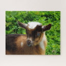 Suche nach milch puzzle Tier