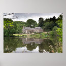 Suche nach große bäume poster Fotografie