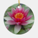 Suche nach lily ornamente Pink