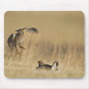 Suche nach hühner mousepads Vogelvogel