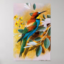 Suche nach wild bird poster Gelb