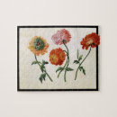 Suche nach chrysantheme puzzle Botanisch