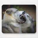 Suche nach yellowstone nationalpark mousepads Fotografie