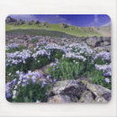 Suche nach bouldern mousepads Natur