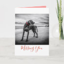 Suche nach kragen kragens karten Hund