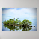 Suche nach everglades poster Fotografie