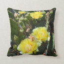 Suche nach stachelig kissen Kaktus