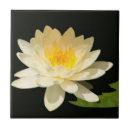 Suche nach wasserlilie fliesen Botanisch