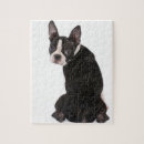 Suche nach boston terrier puzzle Puzzlespiel