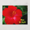 Suche nach hawaii blumen postkarten Hawaiisch