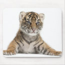 Suche nach sumatran mousepads Wild lebende tiere
