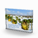 Suche nach winterschnee Bauernhof
