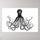 Suche nach squid poster Octopus