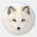 Suche nach arktis aufkleber Wildtiere