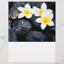 Suche nach blumen flyer Weiß