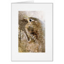 Suche nach zaunkönige postkarten Aquarell