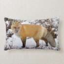 Suche nach roter fuchs kissen Fleischfresser