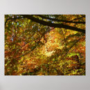 Suche nach herbstlaub poster Rückgang