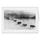 Suche nach heiseres postkarten Haustiere