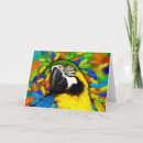 Suche nach macaw karten Gold