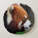 Suche nach roter panda kissen Bär