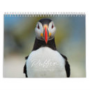 Suche nach papageientaucher Lustig