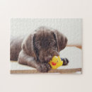 Suche nach schokoladen labrador puzzle Haustier