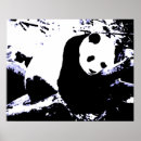 Suche nach sleeping poster Panda
