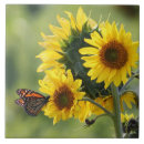 Suche nach monarchfalter fliesen Schmetterling