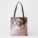 Suche nach falke taschen Tiere