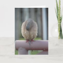 Suche nach betende karten Gebet